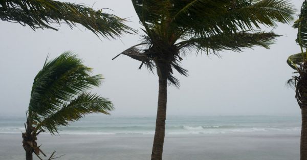 Risque cyclonique et habitat en Caraïbe.